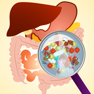 gastroenterology gastroenterology