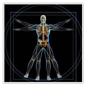 muscleoskeletal imaging