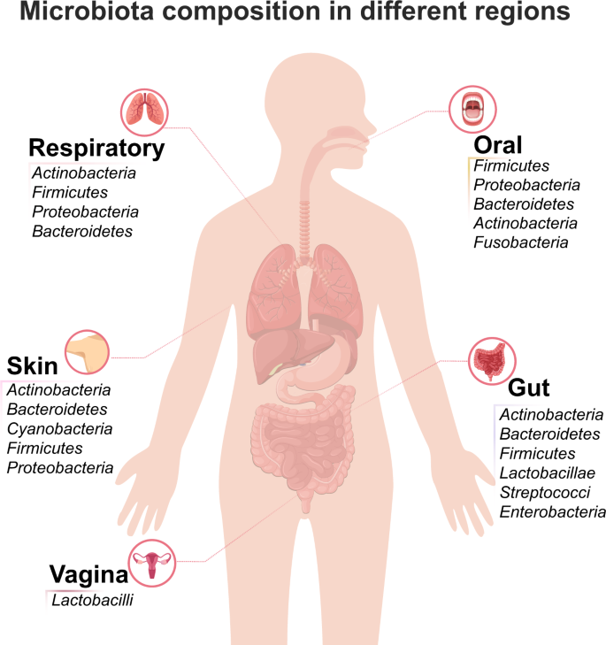 Microbiota