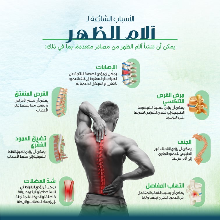 Causes of Back Pain