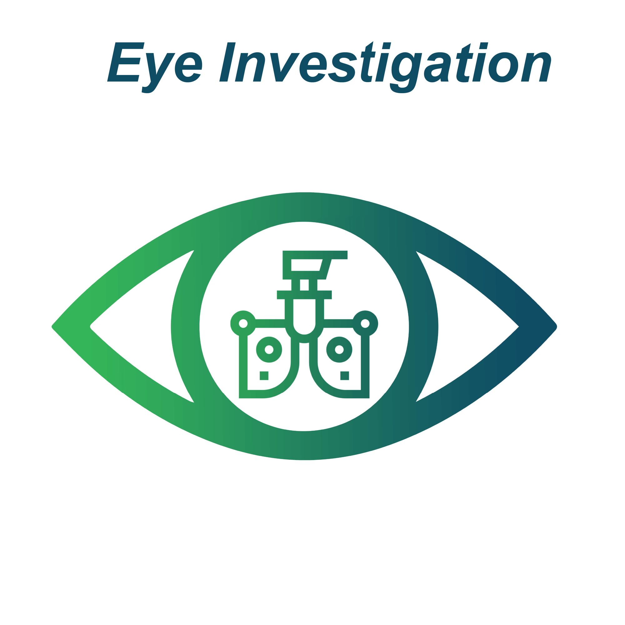 Eye Investigation (1)