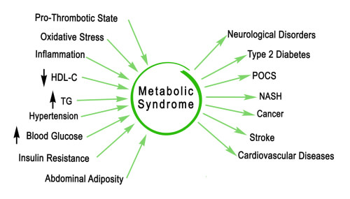 Metabolic Syndrome DRHC Dubai Cardiology Clinic