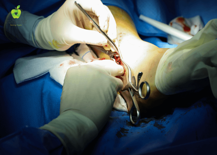 Orthopedic Surgery 1