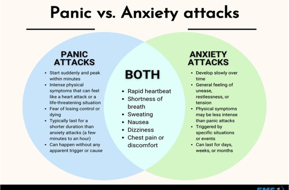 D/B Panic attack and Anxiety Attack