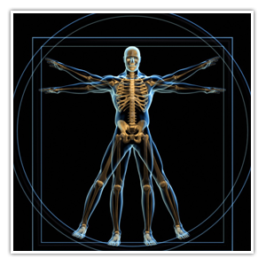 Dubai Radiology Center Mri Ct Scan Dr Rami Hamed Center