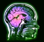 research_image_3 (1)