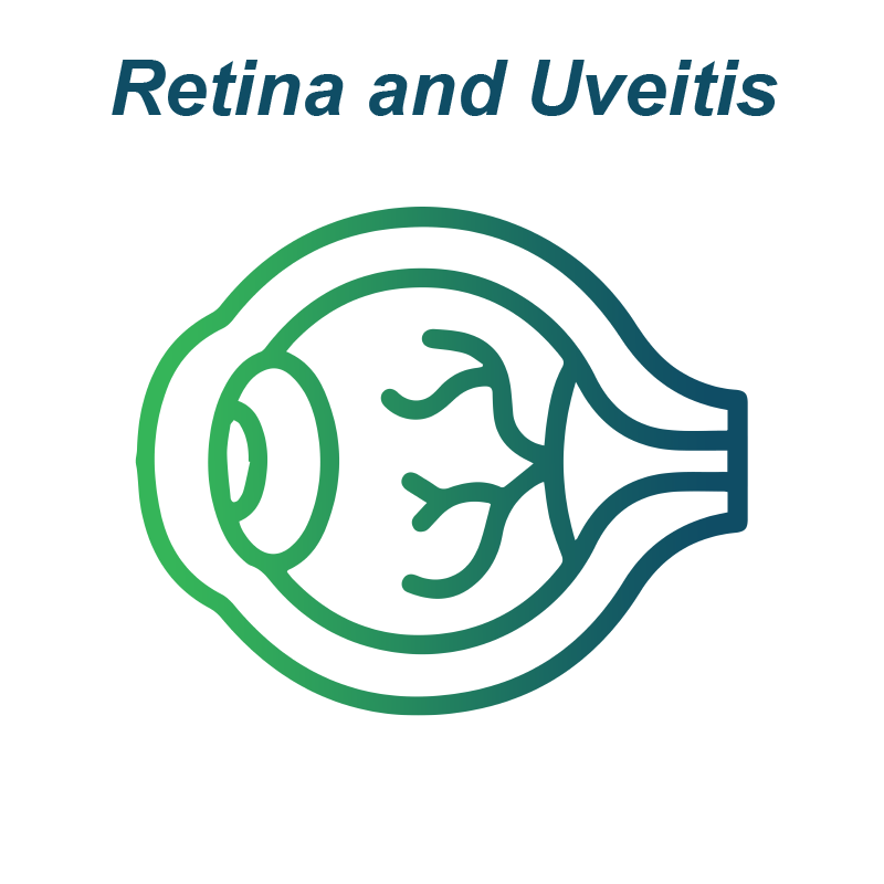 Retina and Uveitis