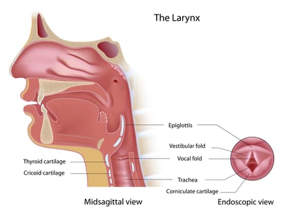 Laryngoscopy