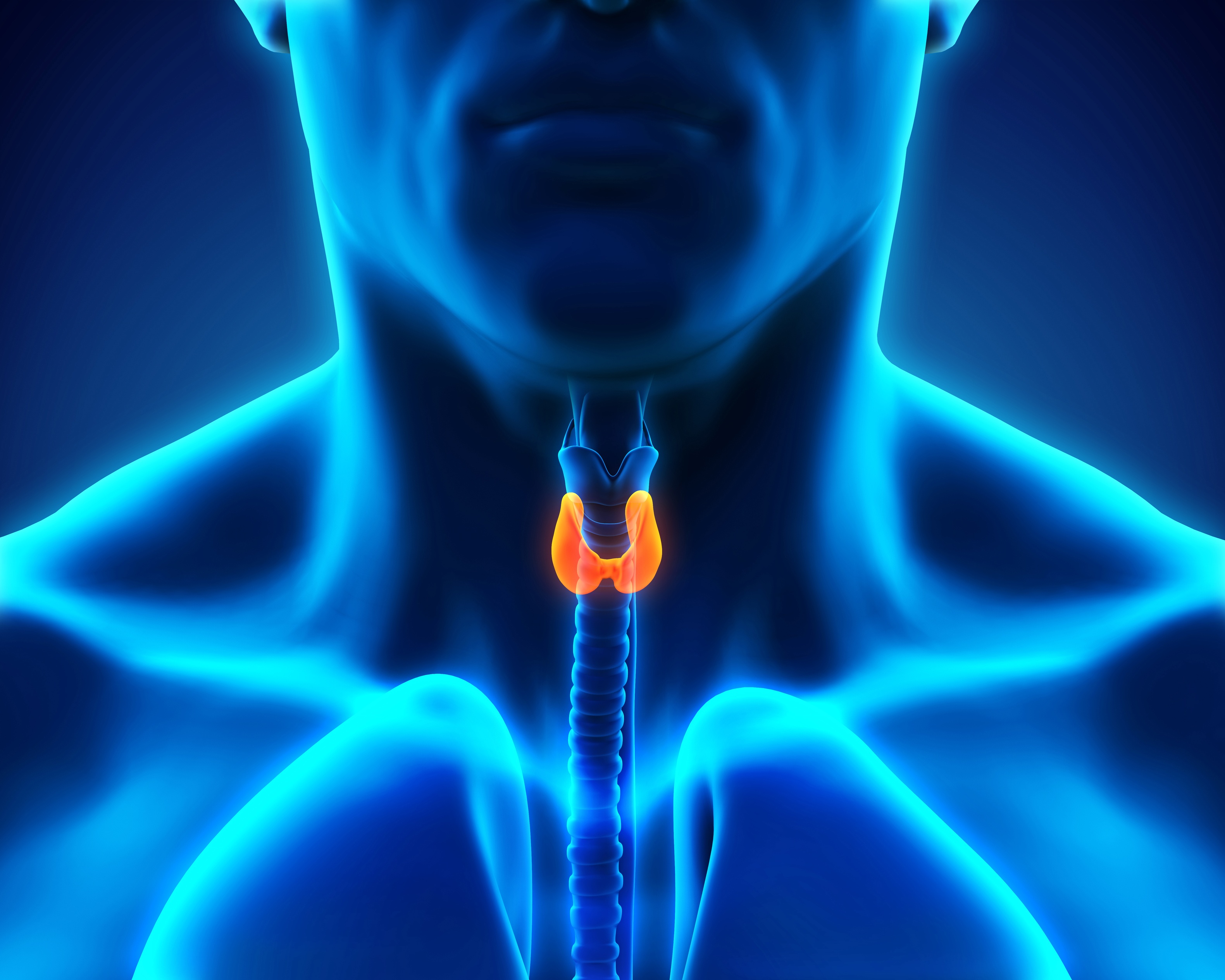 Hypothyroidism and Diet