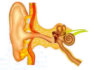 Eardrum repair