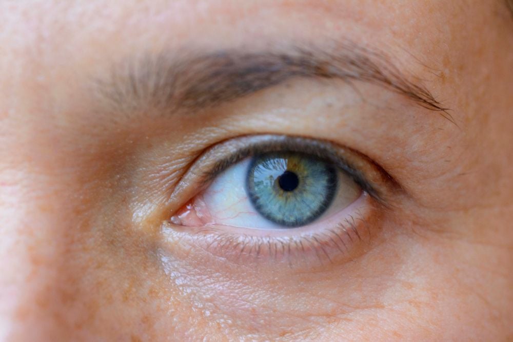 Cornea