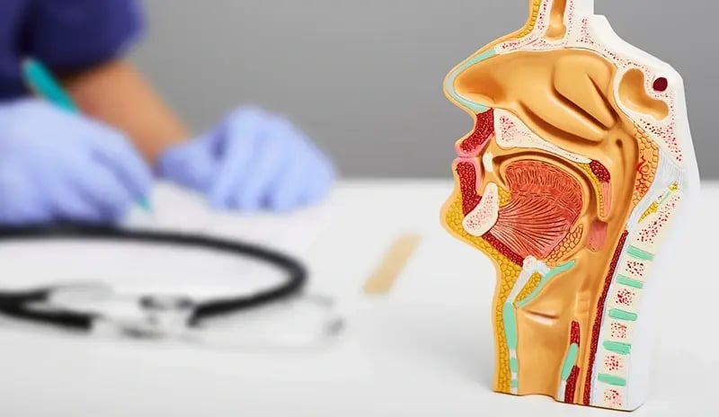 Otolaryngology (ENT)