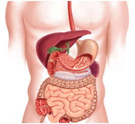 Gastroenterology