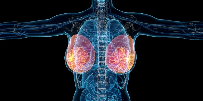 Mediastinum