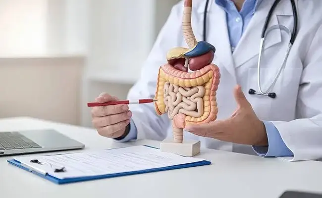 Stomach Pain That Does Not Go Away: Could Gastroscopy Find the Cause?