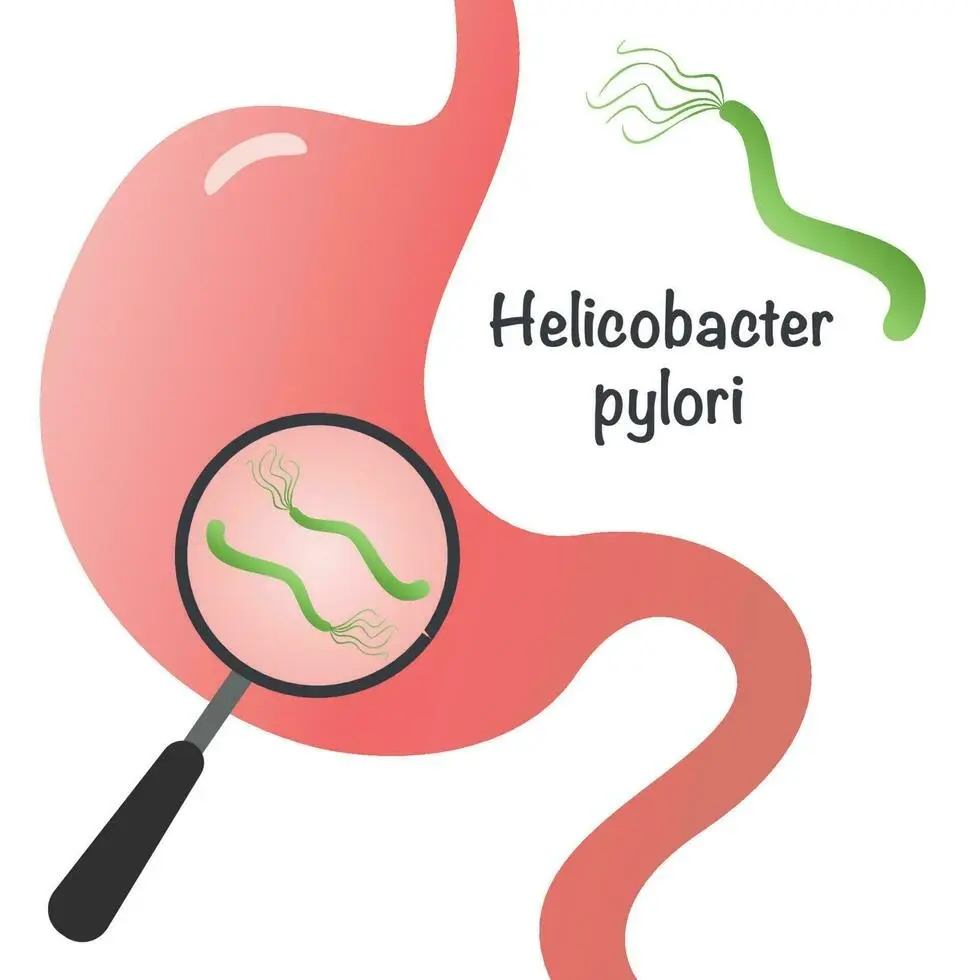 Helicobacter Pylori